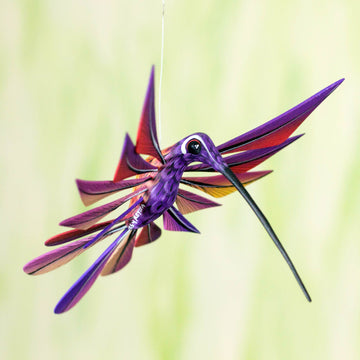 Purple Hummingbird