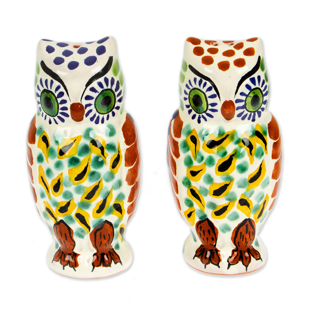 Handcrafted Majolica Ceramic Bird Salt and Pepper Shakers - Owl Spice