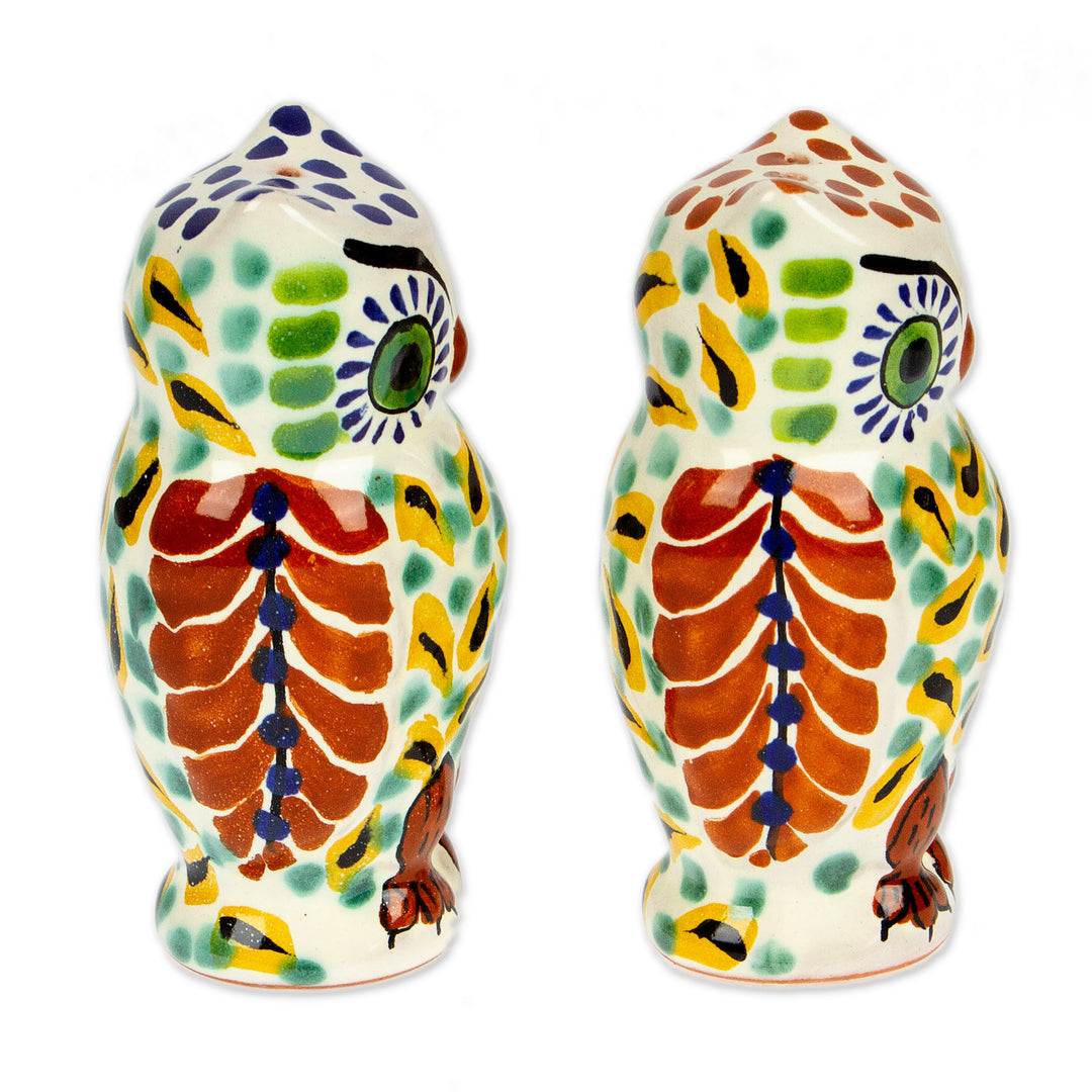 Handcrafted Majolica Ceramic Bird Salt and Pepper Shakers - Owl Spice