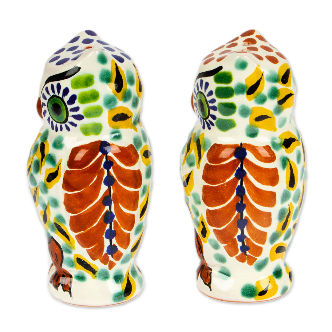 Handcrafted Majolica Ceramic Bird Salt and Pepper Shakers - Owl Spice