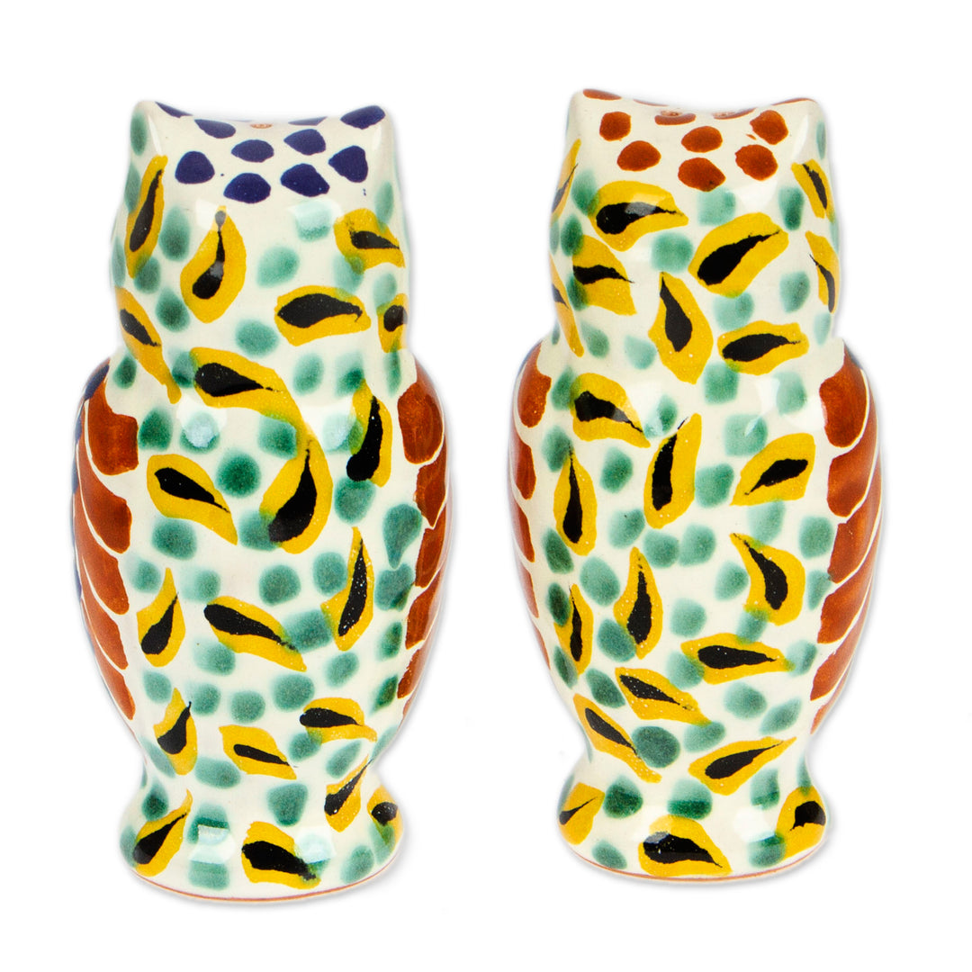 Handcrafted Majolica Ceramic Bird Salt and Pepper Shakers - Owl Spice