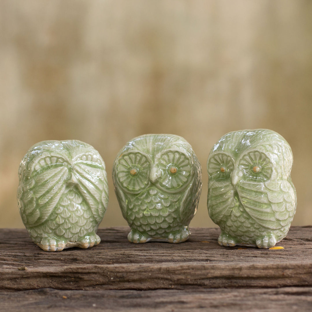 Green Owl Trio