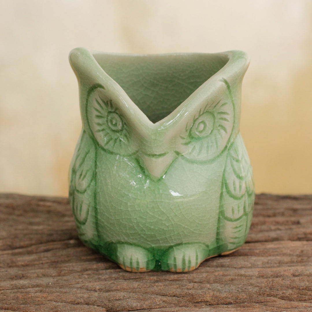 Happy Green Owl
