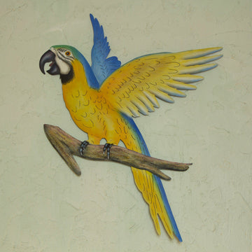 Golden Blue Macaw