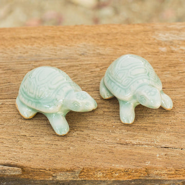 Sky Blue Resilient Turtles