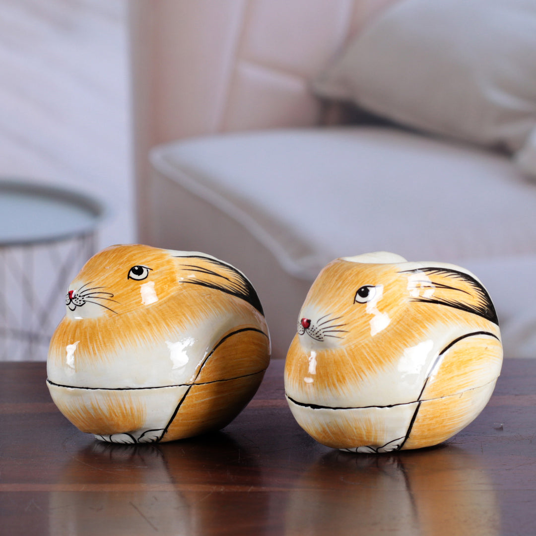 Charismatic Rabbits
