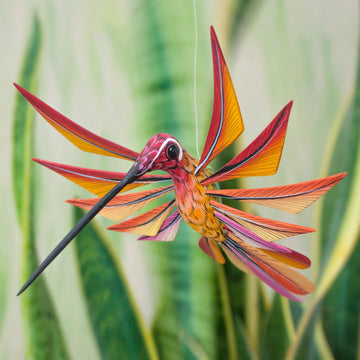 Colorful Hummingbird