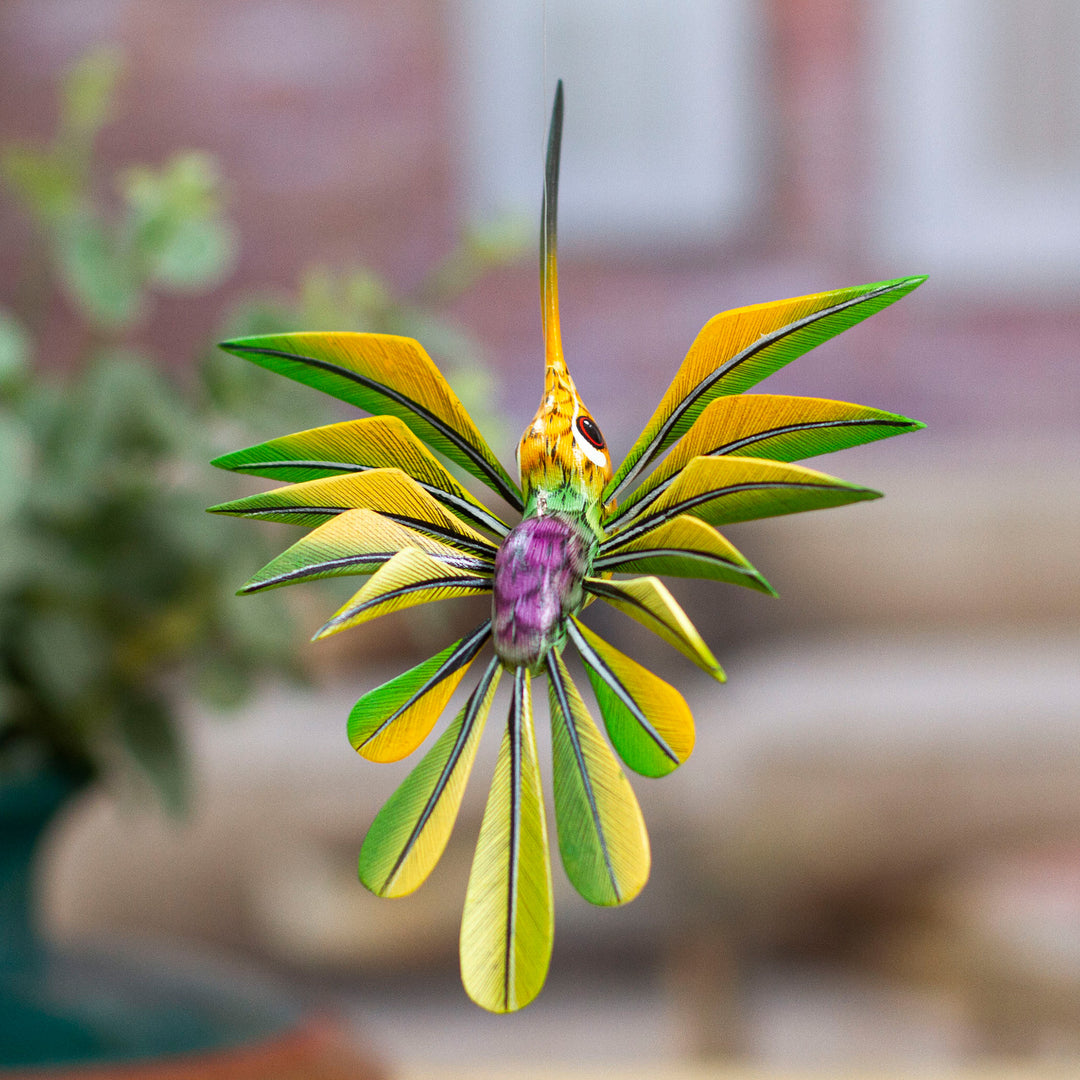Green Hummingbird