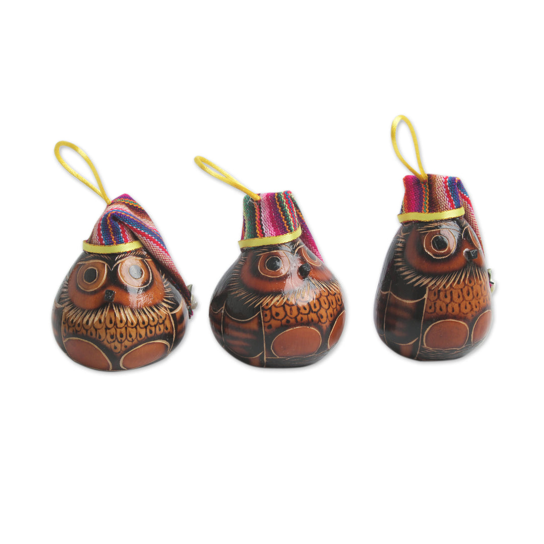 Dried Mate Gourd Owls Ornaments Wearing Hats (Set of 3) - Holiday Owls