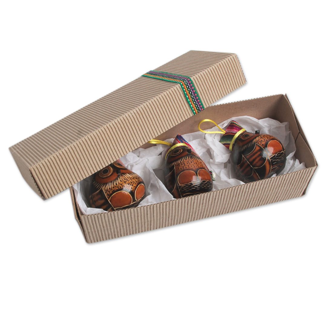 Dried Mate Gourd Owls Ornaments Wearing Hats (Set of 3) - Holiday Owls