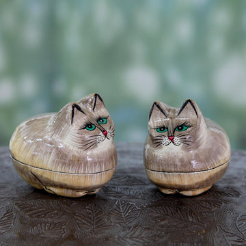 Contented Kitties