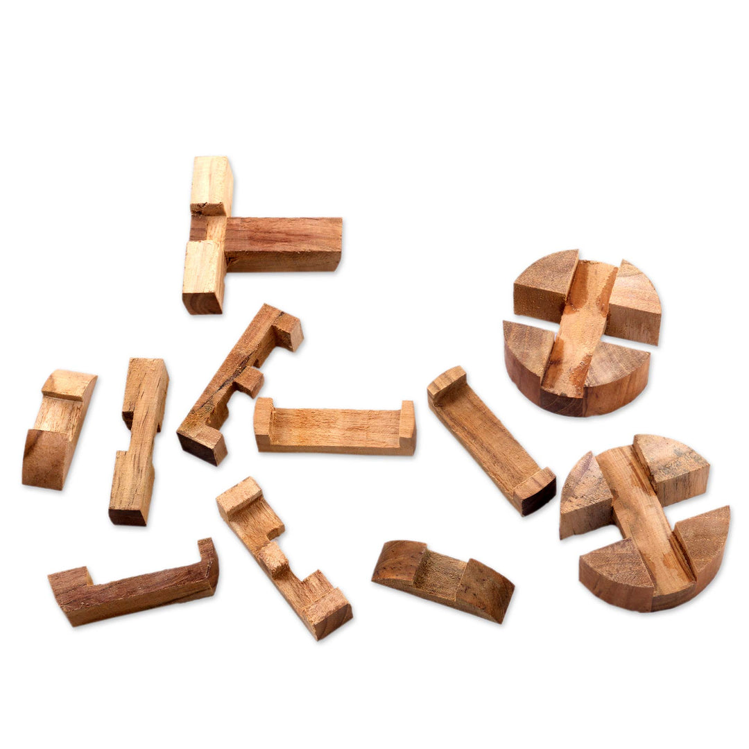 Challenging 3-D Puzzle Artwork Handcrafted of Teak Wood - Forest Cylinder