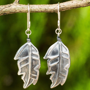 Exotic Leaf