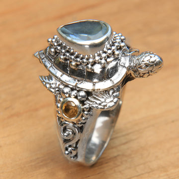 Sea Turtle Enchantment