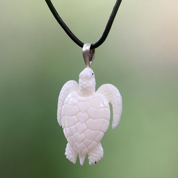White Turtle
