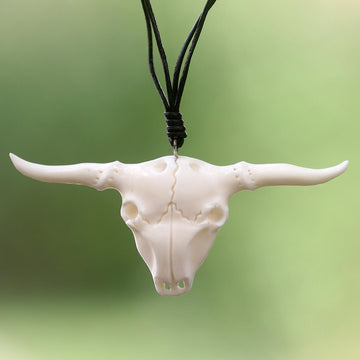 Desert Longhorn
