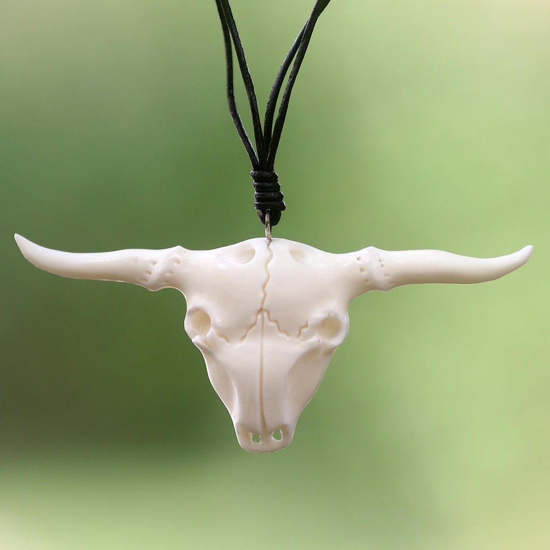 Desert Longhorn