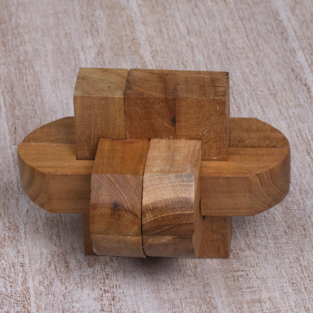 Artisan Crafted Upcycled Teak Wood Puzzle from Java - Focus