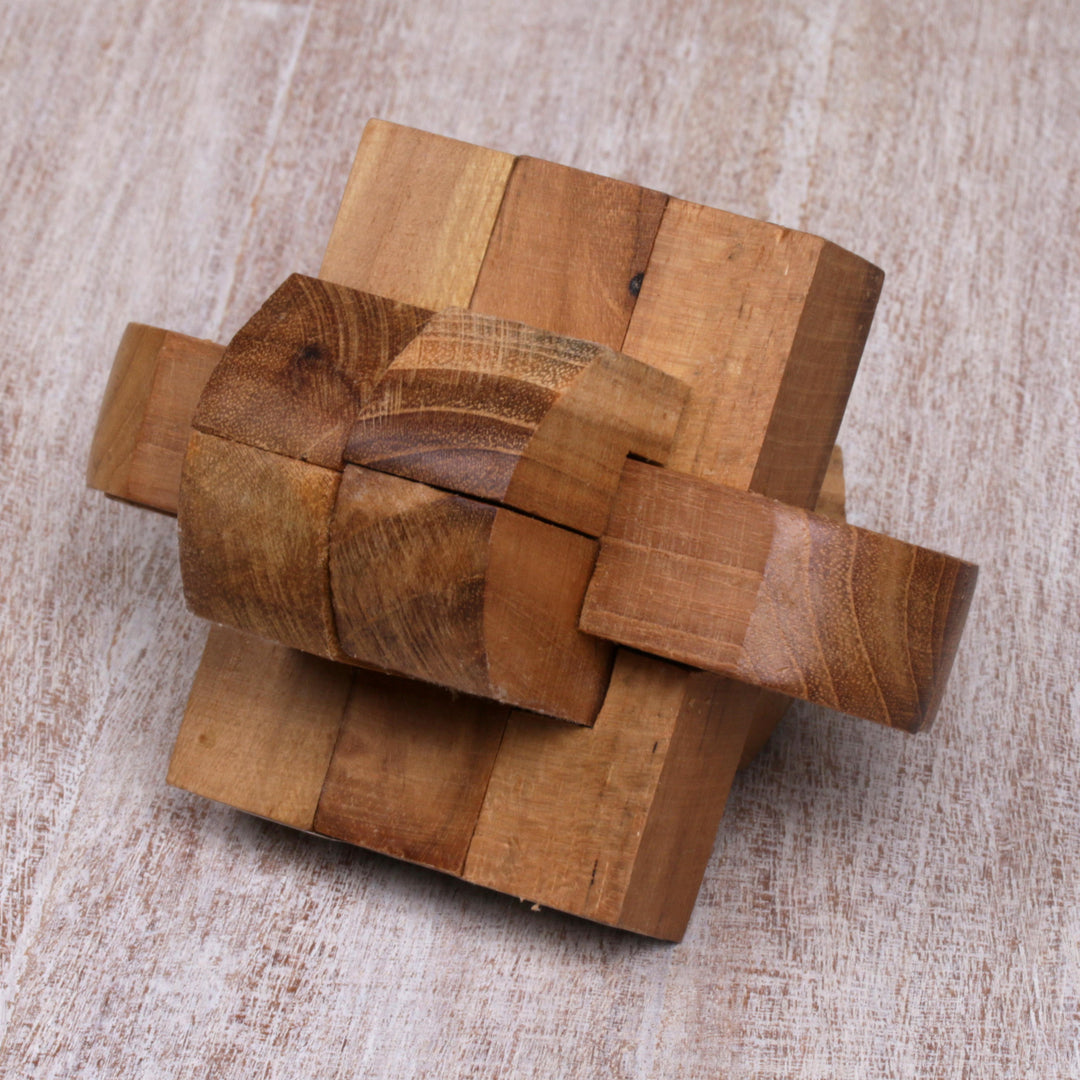 Artisan Crafted Upcycled Teak Wood Puzzle from Java - Focus