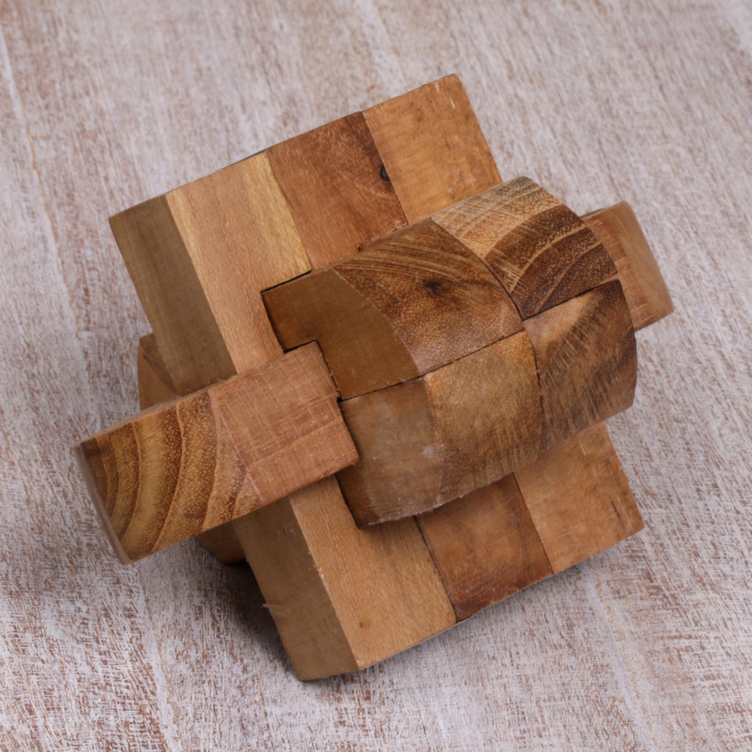 Artisan Crafted Upcycled Teak Wood Puzzle from Java - Focus