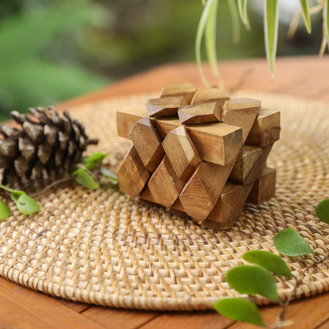 Artisan Crafted Recycled Teak Wood Puzzle from Bali - Bizarre