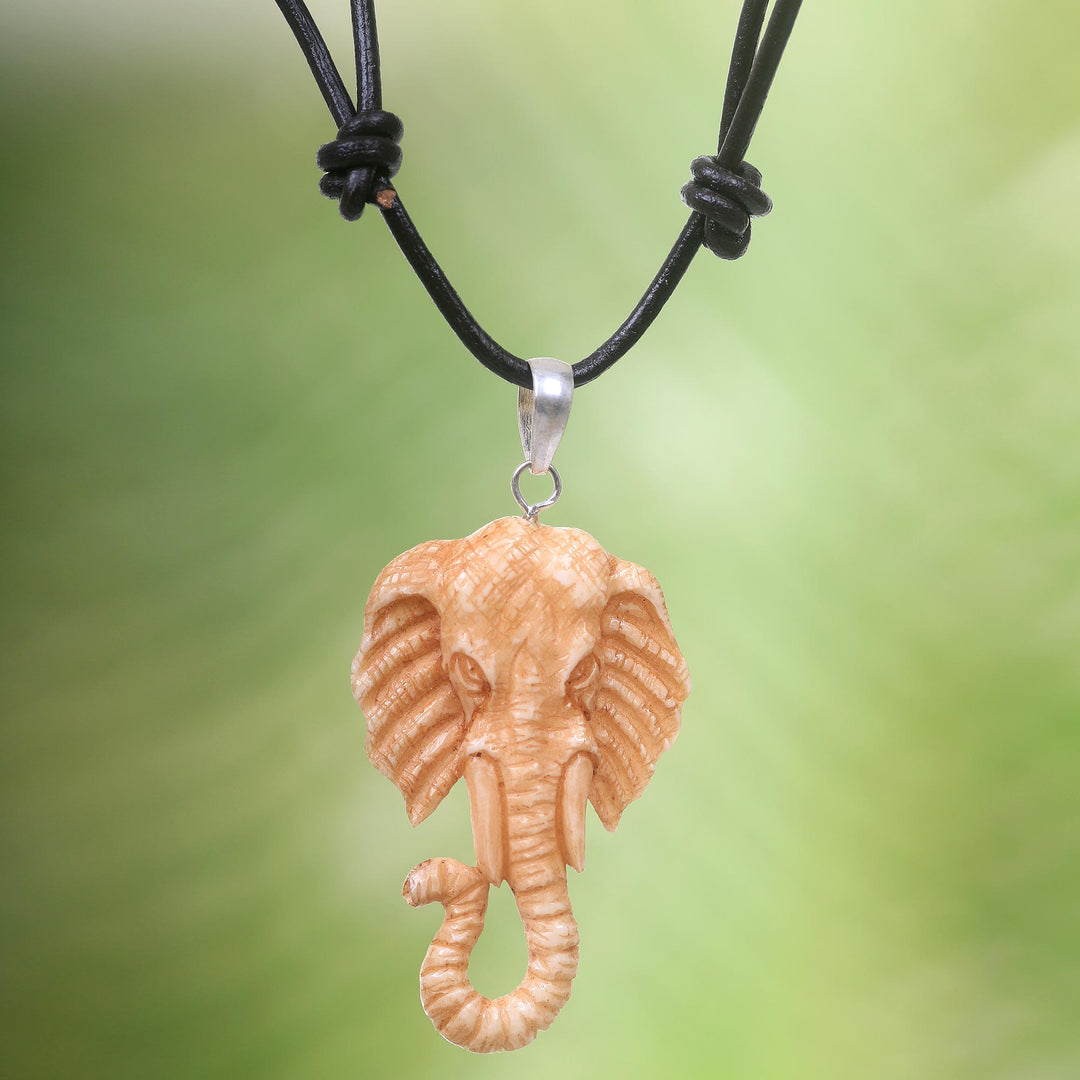 Spirit of the Elephant