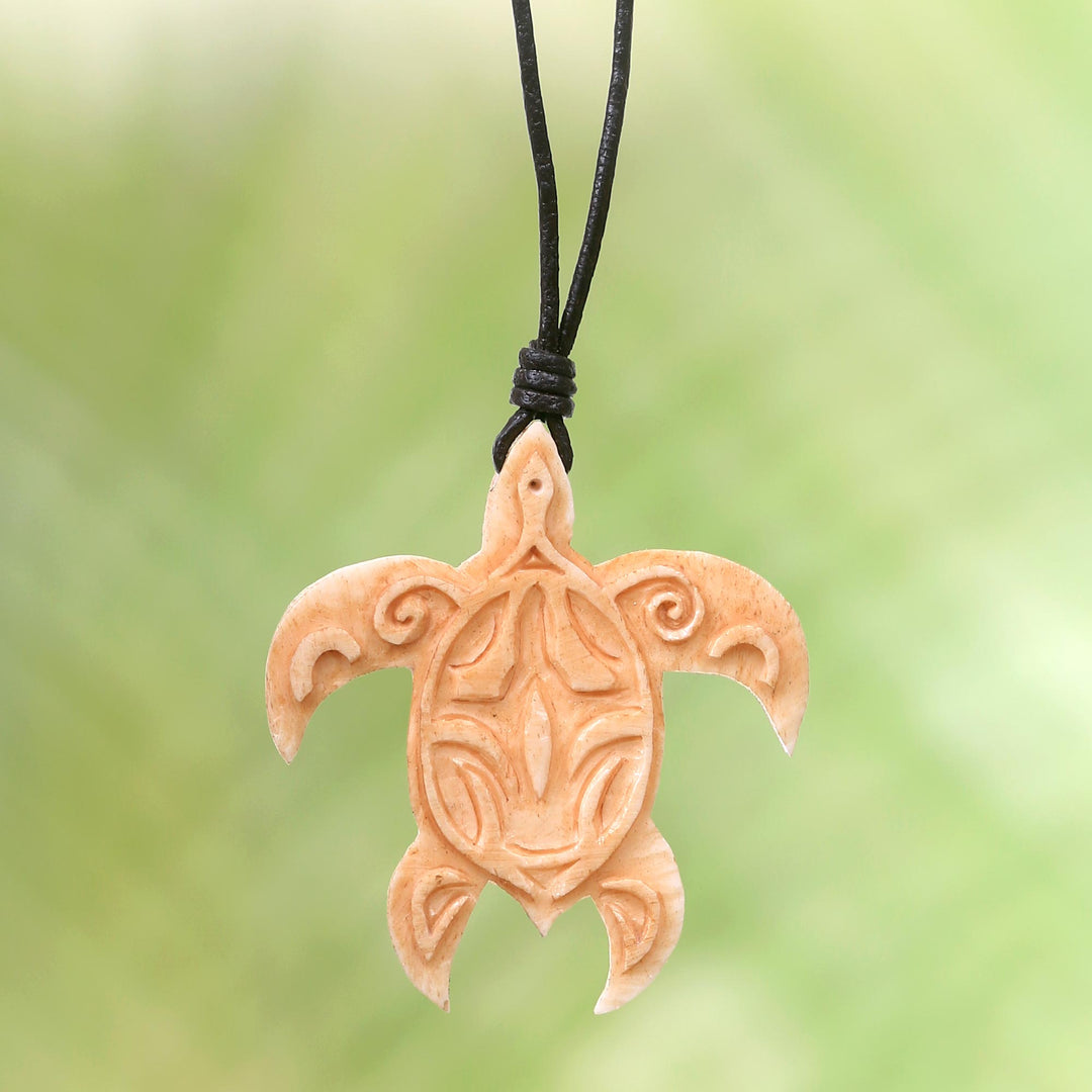 Gliding Turtle