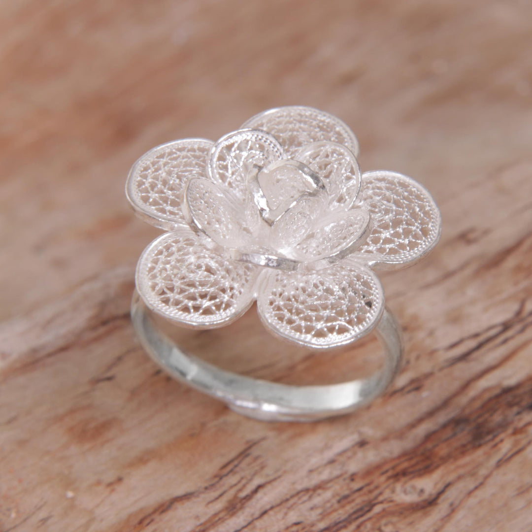 Hopeful Lotus