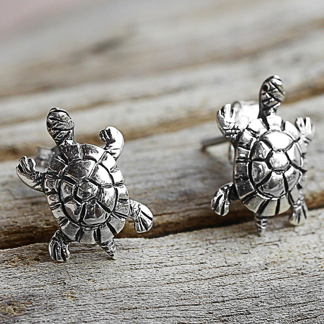 Little Turtles