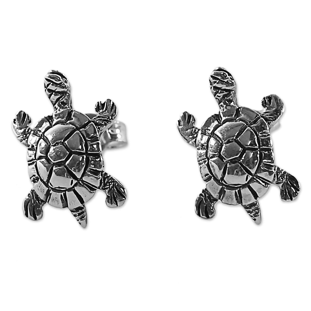 Sterling Silver Button Earrings Turtle Shape from Thailand - Little Turtles