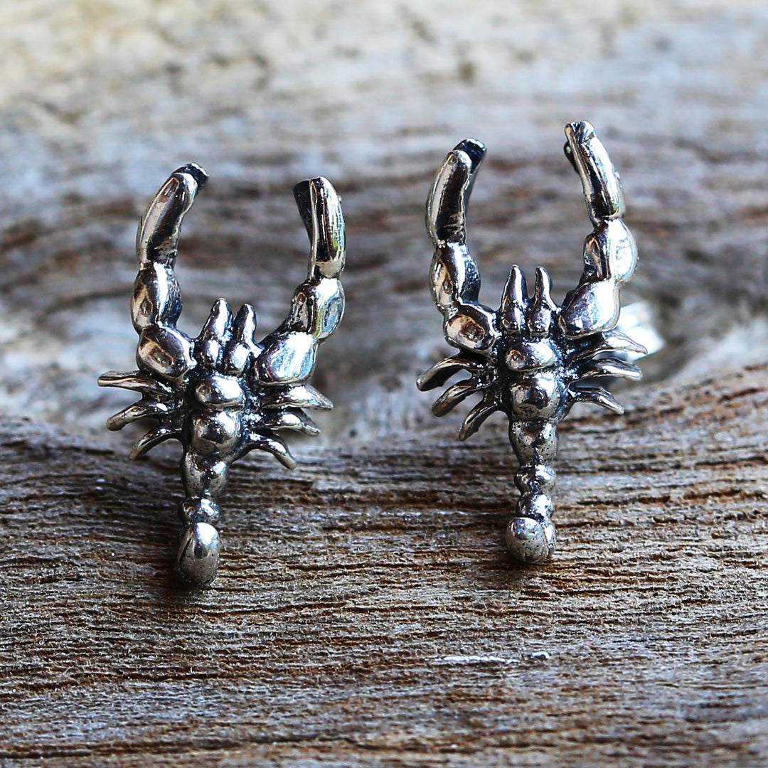Little Scorpions