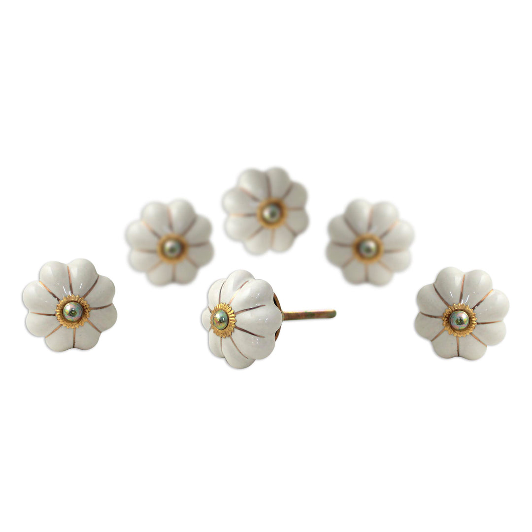 Ceramic Cabinet Knobs Floral Off-White (Set of 6) India - Pale Floral Beauties