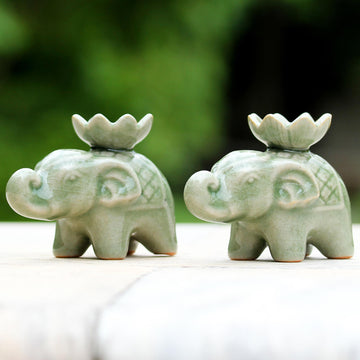 Lotus Elephant