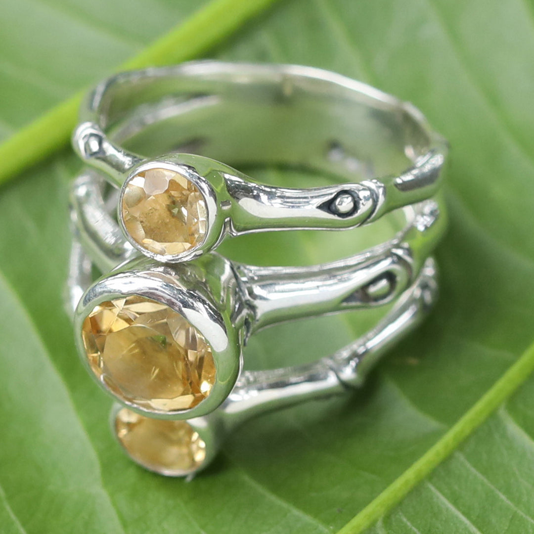 Bamboo Dew