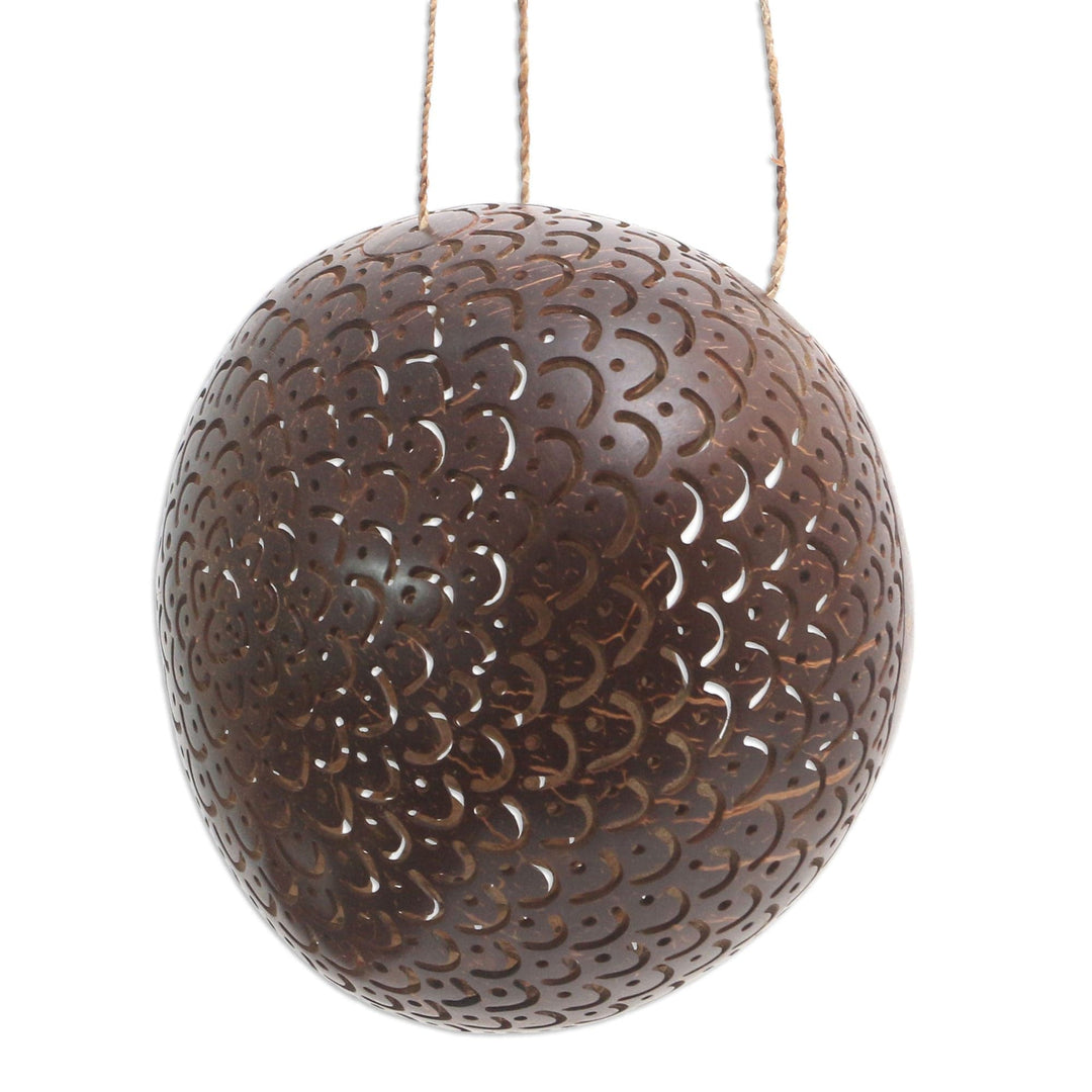 Coconut Shell Hanging Birdhouse from Indonesia - Sea Scales