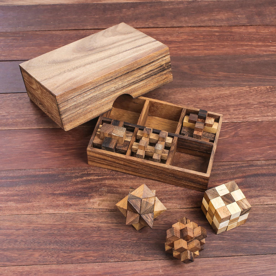 Handcrafted Set of Six Wooden Puzzles from Thailand - Puzzle Set