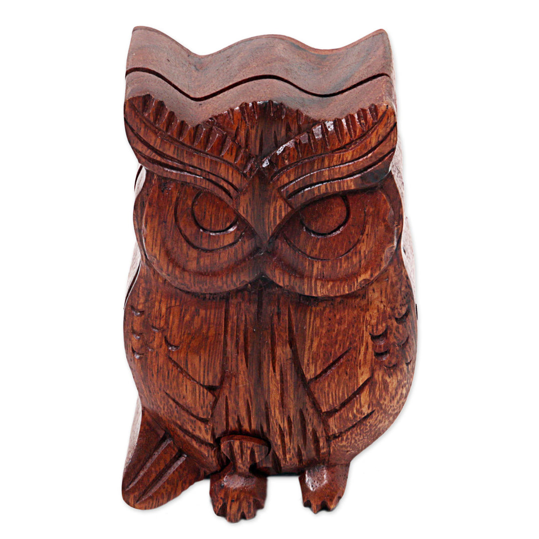 Hand Carved Wood Puzzle Box Owl Shape from Indonesia - Serious Owl