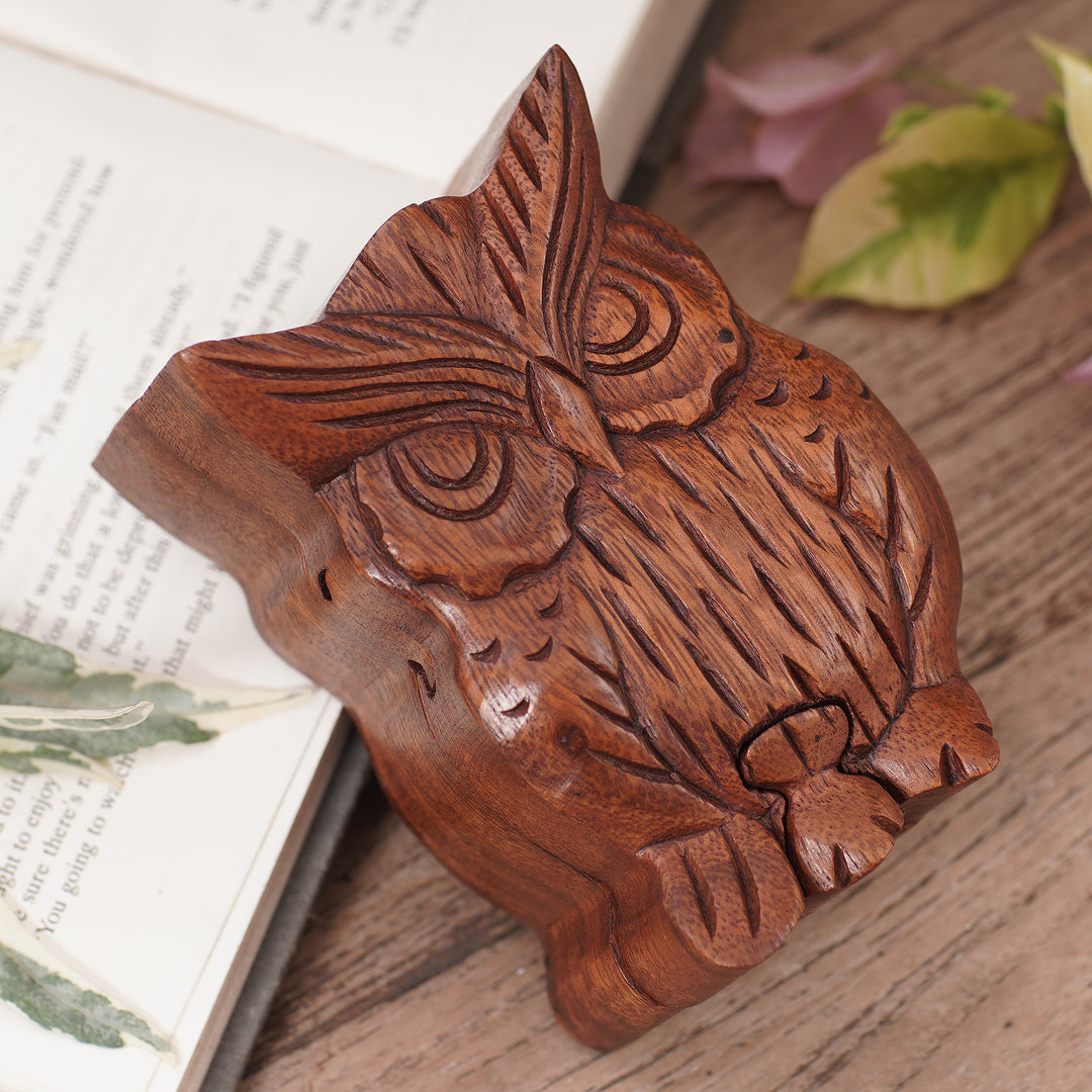 Hand Carved Wood Puzzle Box Owl Shape from Indonesia - Serious Owl