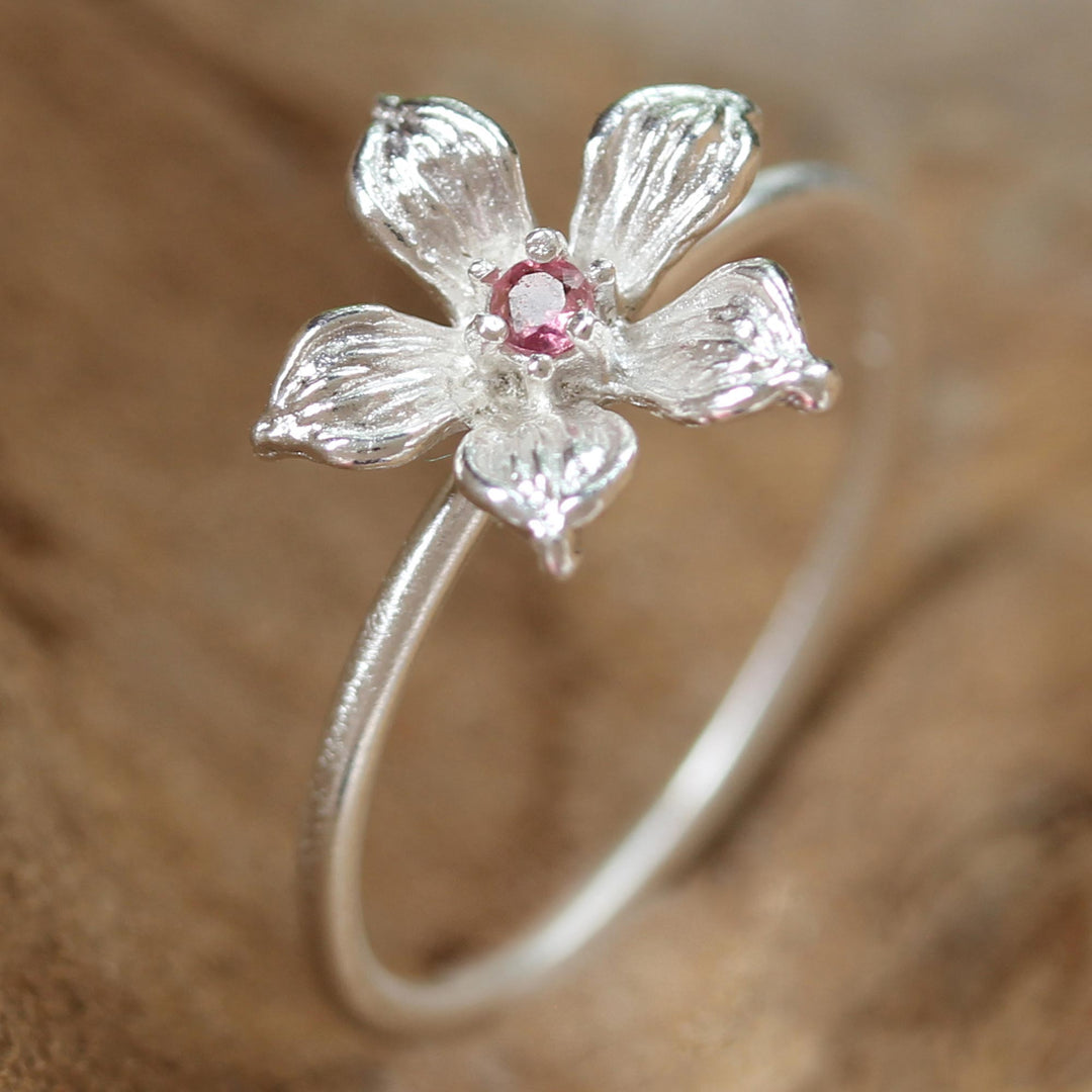 Pink Winter Bloom