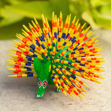 Cute Porcupine