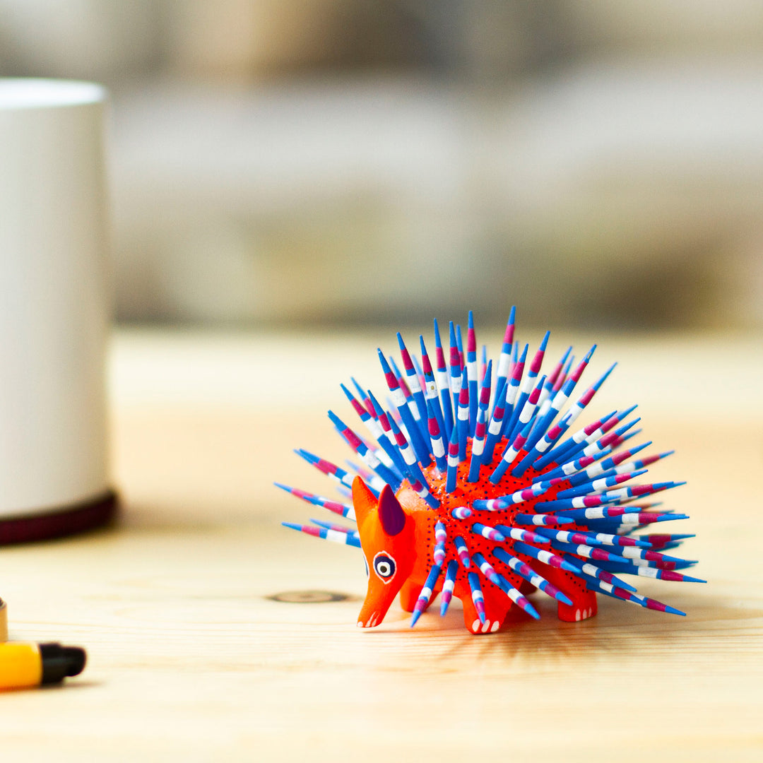 Cute Porcupine in Red