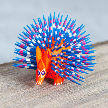 Cute Porcupine in Red