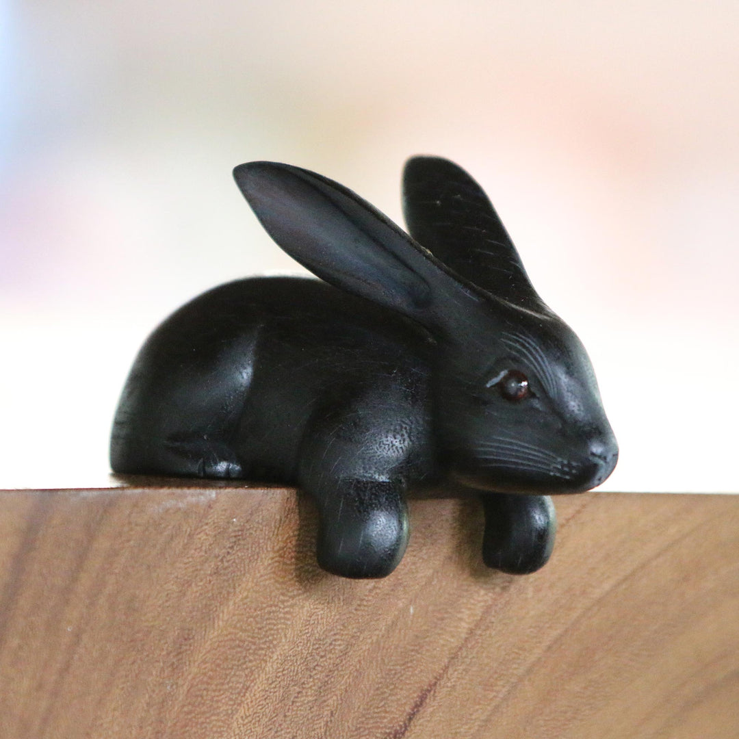 Curious Rabbit in Black