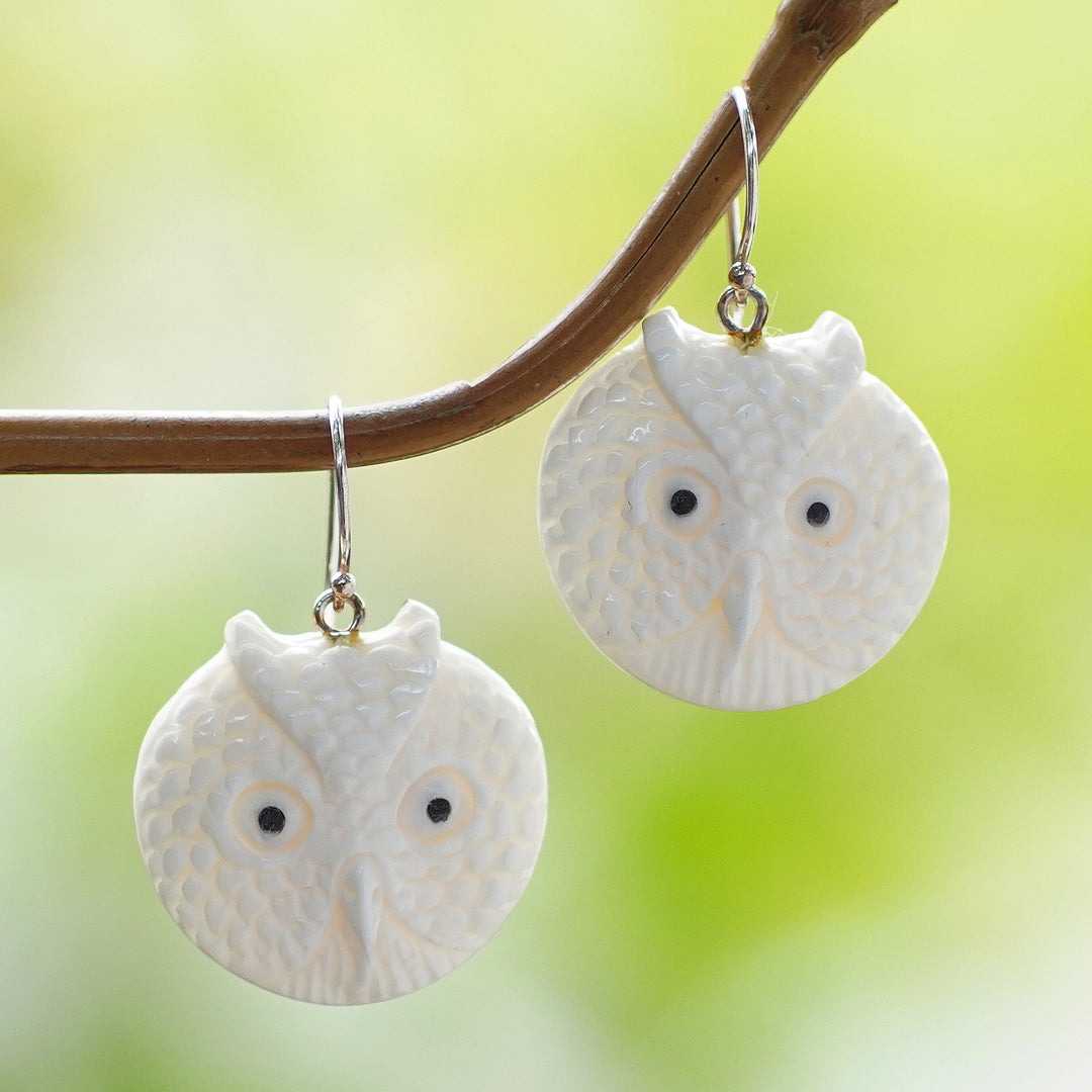 Owl Faces