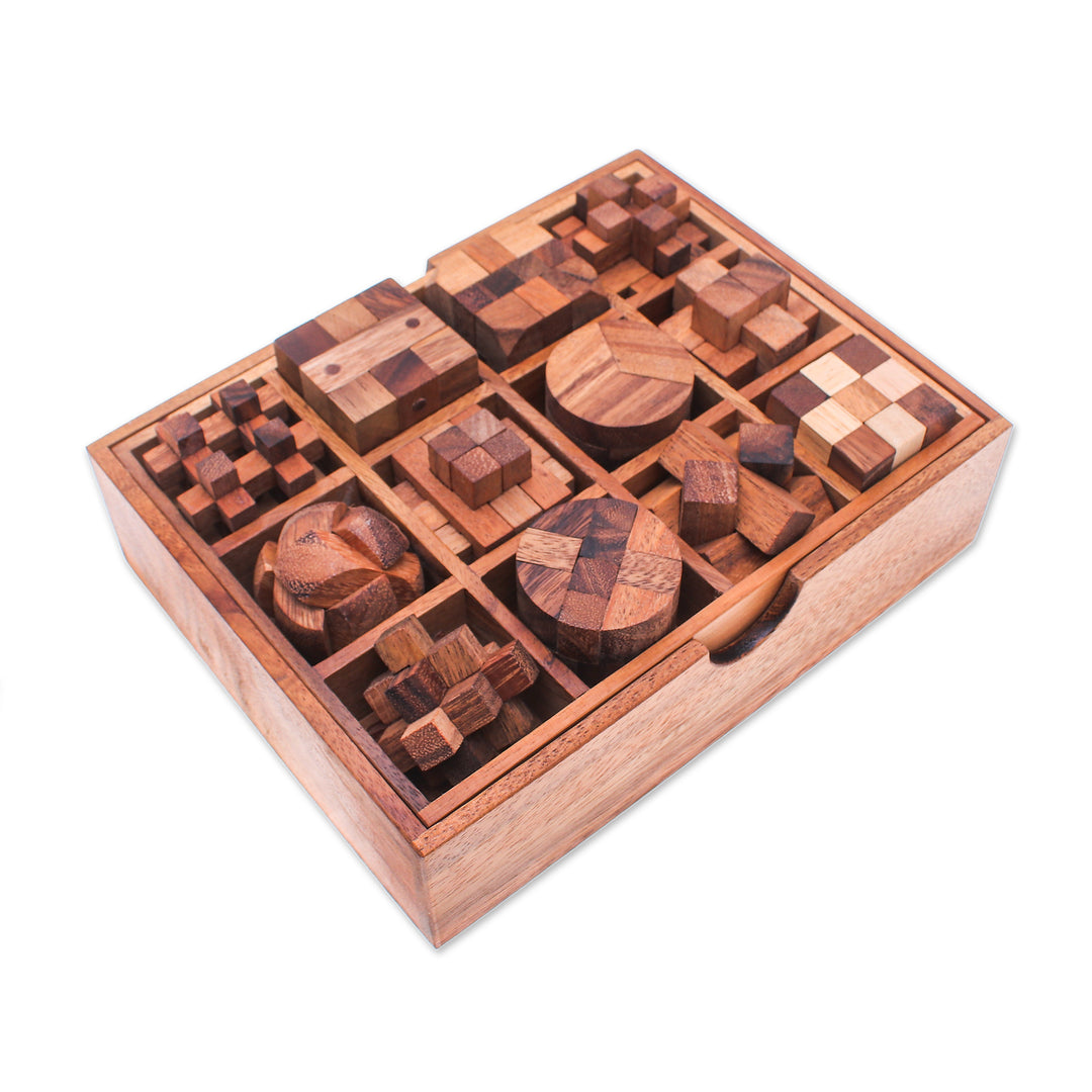 12 Handcrafted Wood Puzzles with Box from Thailand - Array of Challenges