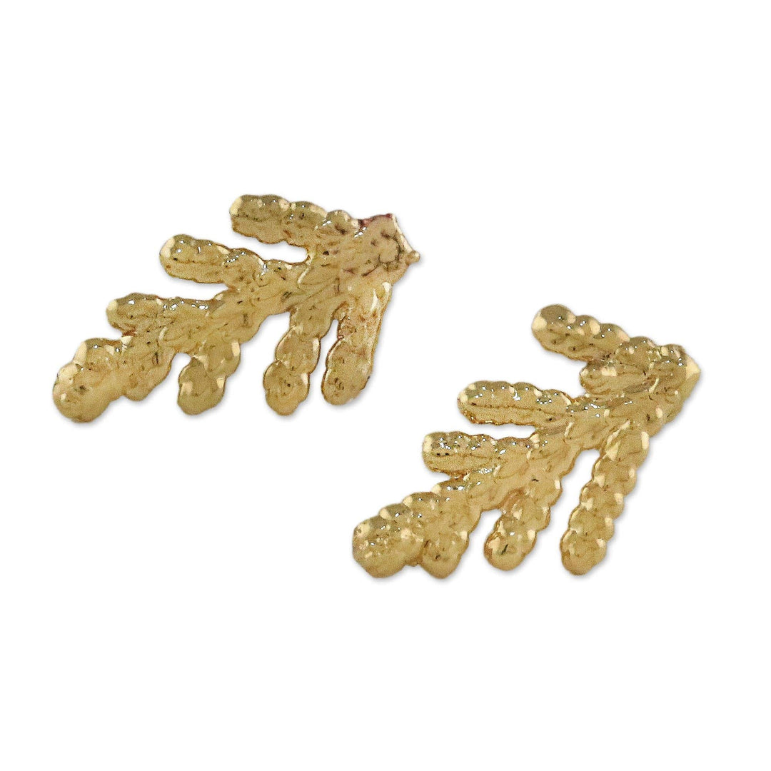 Gold Plated Natural Cypress Leaf Button Earrings - Natural Needles
