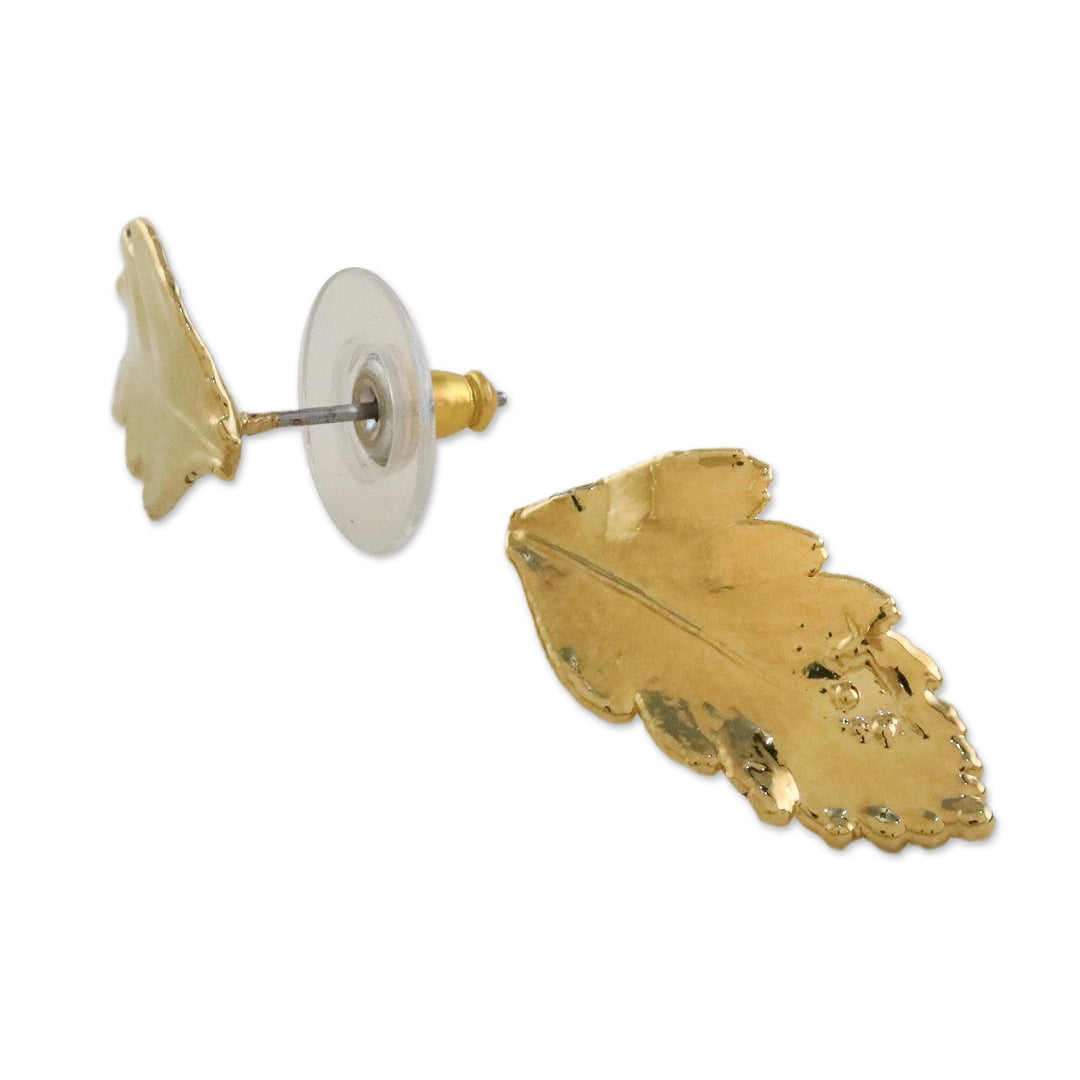 Gold Plated Natural Davallia Leaf Earrings from Thailand - Shining Fern