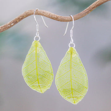 Stunning Nature in Sap Green