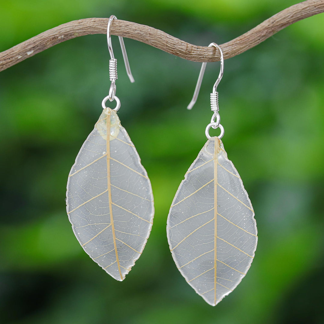 Stunning Nature in Straw