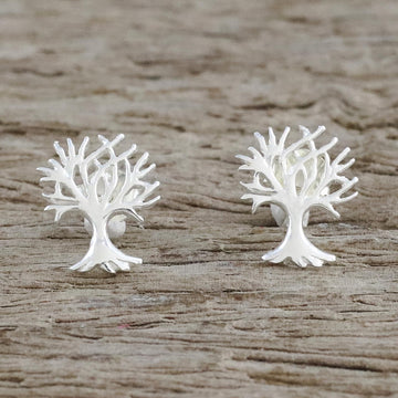 Branches Above
